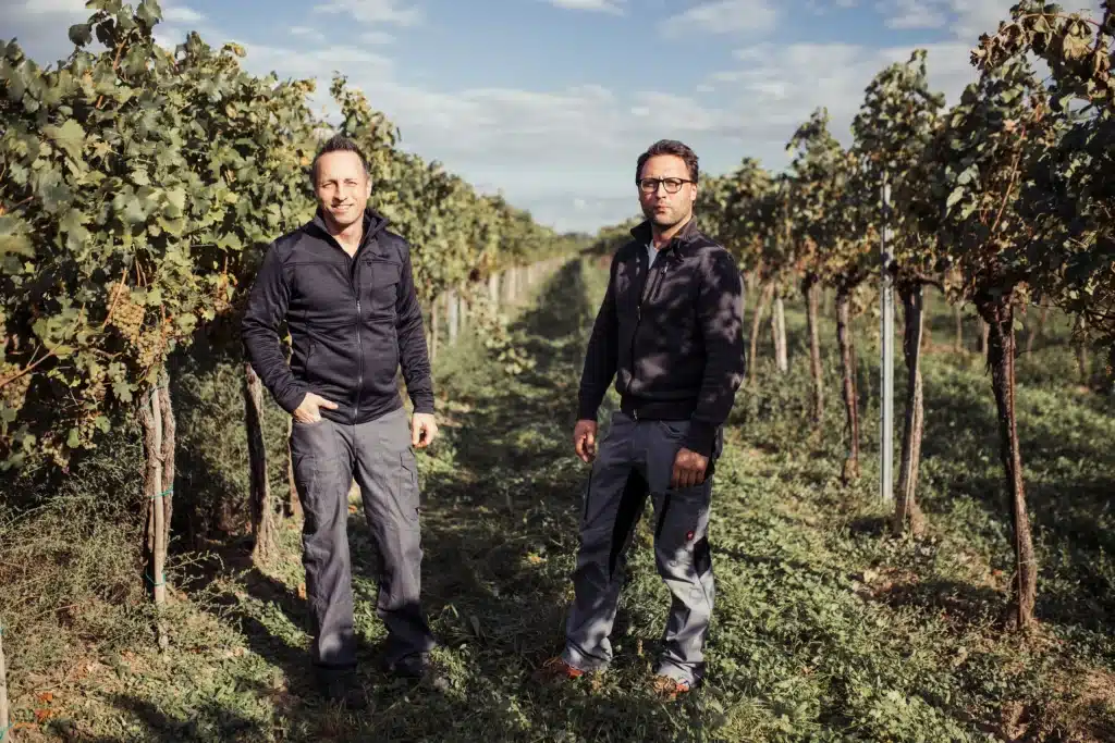 Weingut Stein Schaden vin